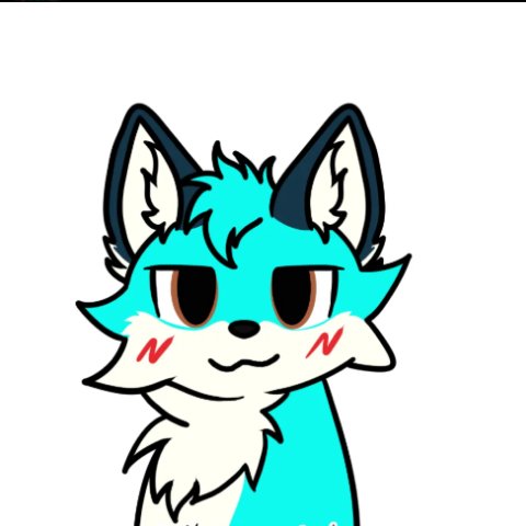 fluffigerdj